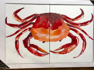 15"x20" Crab Wall Art - 2 PC SET